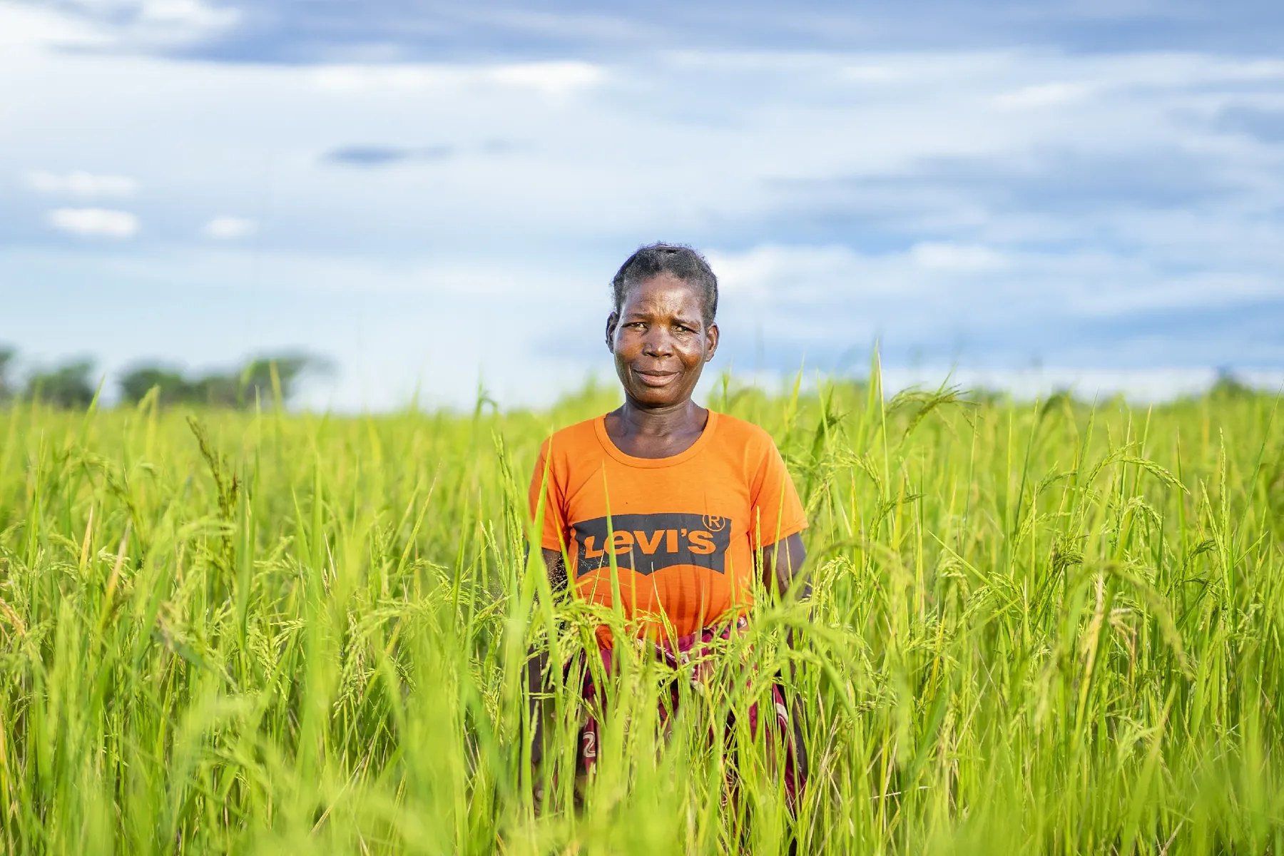Farmer standing in a rice field